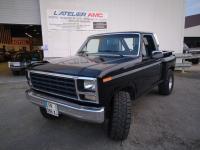 Ford F150 (4)